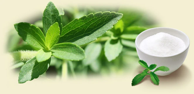 জৈব ব্রাজিল Stevia